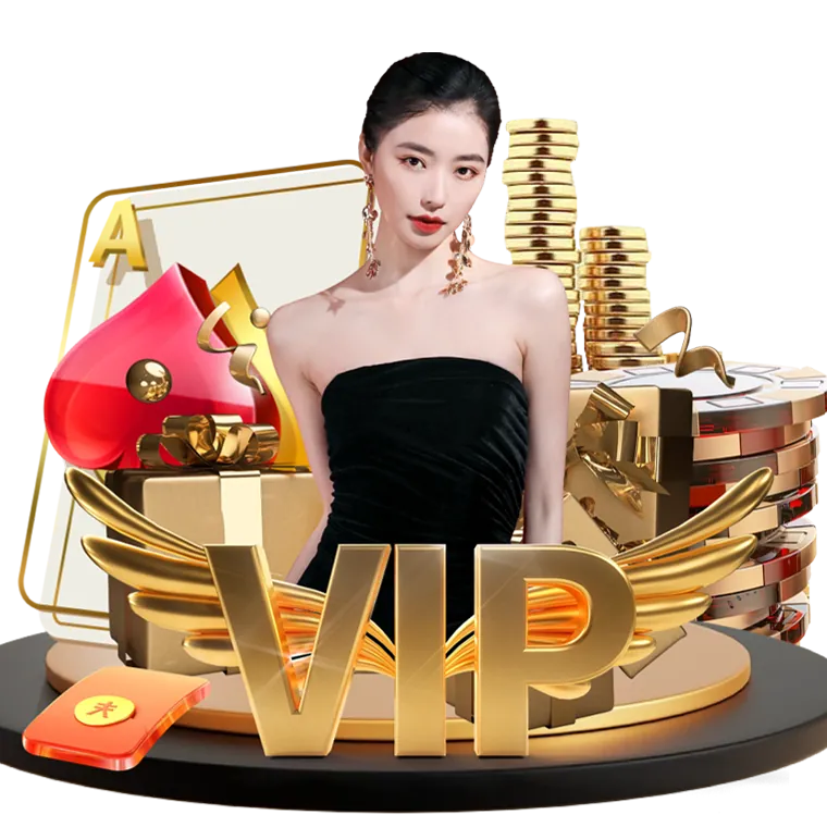 phsky VIP Program